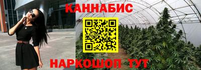 ALPHA PVP Шелехов